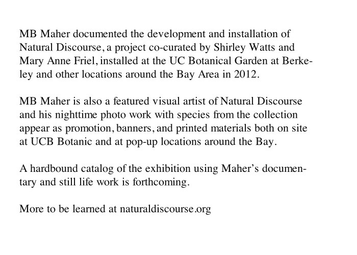 http://office.mbmaher.com/files/gimgs/th-4_natural.jpg